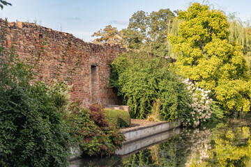 Fototapete bei efototapeten.de bestellen   