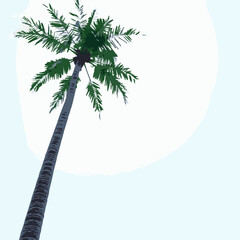 Looking Up at a Palm Tree Trunk and Fronds Against a Bright Sky tropical nature