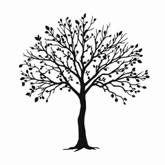 Obraz premium Silhouette of a mature tree with a symmetrical canopy of bare branches and a few leaves on a white background
