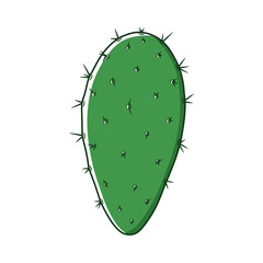 Illustration of a green prickly pear cactus pad with spines on a white background.