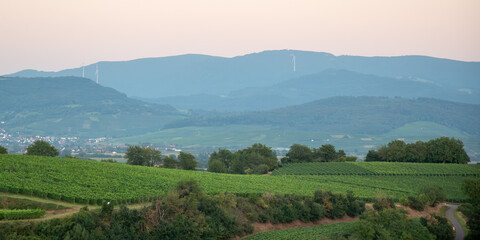 Oberrheinebene mit Schwarzwald im Breisgau, vom Tuniberg fotografiert