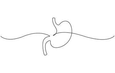 Single line drawing stomach icon .