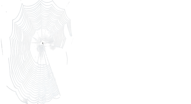 Delicate spider web glistening against a dark monochrome background