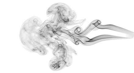 Abstract black and white smoke pattern on a dark background image