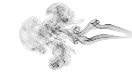 Abstract black and white smoke pattern on a dark background image