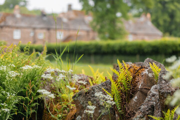 Traditional dry stone wall in rural english landscape. Peaceful nature scene in the countryside of Britain, rural charm and tranquillity, heritage, travel and peaceful slow living 