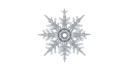 Macro photograph of a single snowflake with intricate patterns
