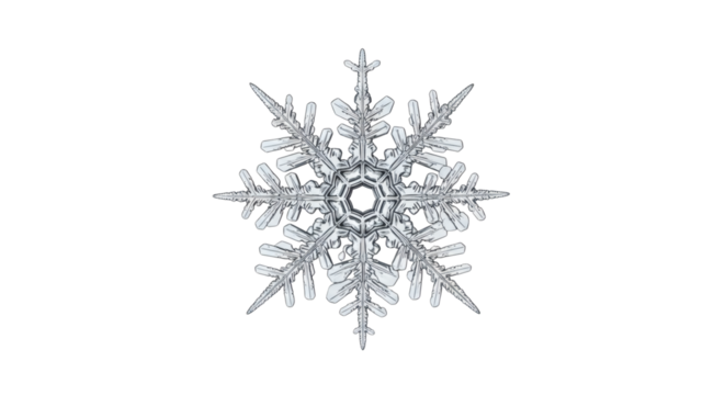 Macro photograph of a single snowflake with intricate patterns