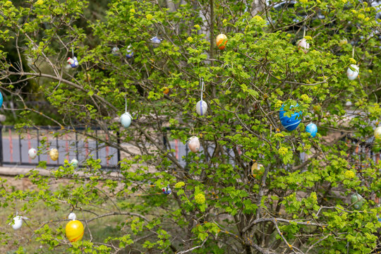Bunt bemalte Ostereier h&auml;ngen an einem Fr&uuml;hlingsstrauch