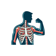 Anatomical illustration of a muscular human figure showcasing the skeletal and muscular systems