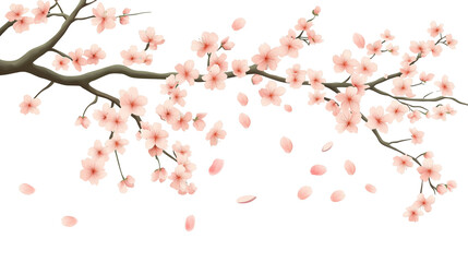Fototapeta premium Cherry blossom branch with blooming Sakura. Realistic watercolor cherry flower