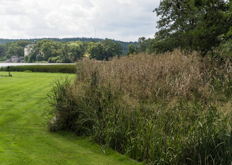 garden landscape in Sweden
