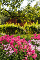 Obraz premium Detail of a beautiful garden in Sweden