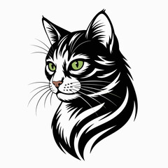 black and white cat
