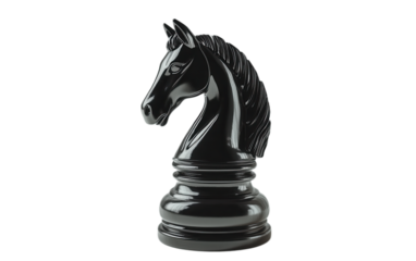 Black chess knight black horse on white background,png