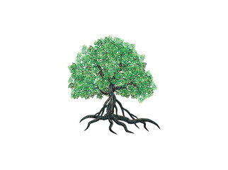 Mangrove tree with lush green leaves and exposed roots over water vector illustration
