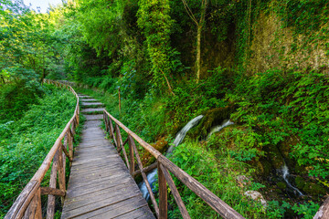 The beautiful Capelli di Venere waterfalls, located near the Cilento town of Casaletto Spartano, Campania, Italy.