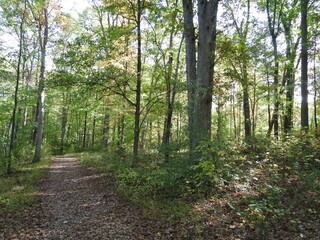 Visitors can enjoy the beautiful autumn scenery, while hiking the Hopewell Lake Loop Trail. French Creek State Park, Berks and Chester Counties, Elverson, Pennsylvania.