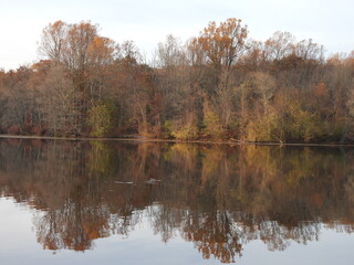 The tranquil beauty of Hopewell lake with woodland, natural reflections, during the autumn season. French Creek State Park, Berks and Chester Counties, Elverson, Pennsylvania. 