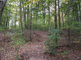 Fototapeta premium Visitors can enjoy the beautiful autumn scenery, while hiking the Hopewell Lake Loop Trail. French Creek State Park, Berks and Chester Counties, Elverson, Pennsylvania.