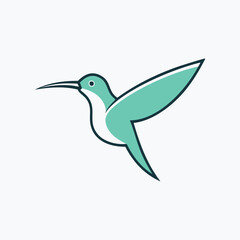 Teal hummingbird in flight with dark outline flying white