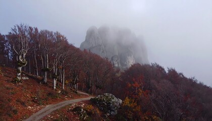 Fototapeta premium Foggy Autumn Forest Trail with Bare Trees, Moody Seasonal Landscape for Halloween Atmosphere and Nature Travel