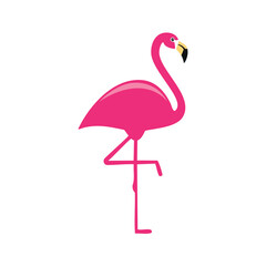 Pink flamingo standing on one leg bird animal