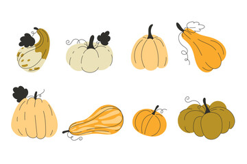 Set of Seasonal Fall Pumpkins for Autumn Harvest and Thanksgiving