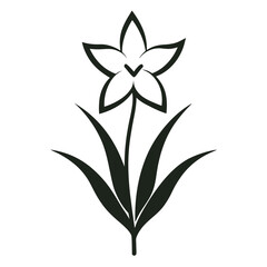 watsonia line art vector on white