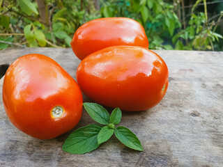 fresh Italian tomatoes on a cutting board with basil and blurred background