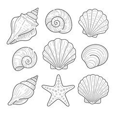 Seashells and Starfish A Collection of Nautical Line Drawings