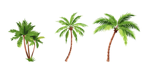 Set of palm trees realistic vector illustrations on white background.icon
