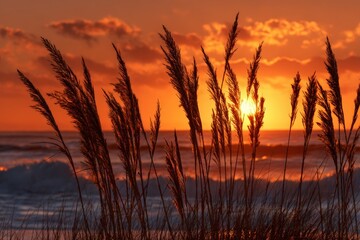 Sunrise over the ocean through tall grasses