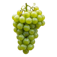 A lush bunch of green grapes on a black background