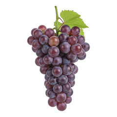 Fototapeta premium A bunch of ripe red grapes with a green leaf