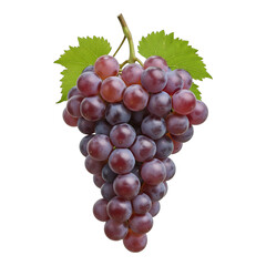 Fototapeta premium Fresh bunch of red grapes with green leaves on black background