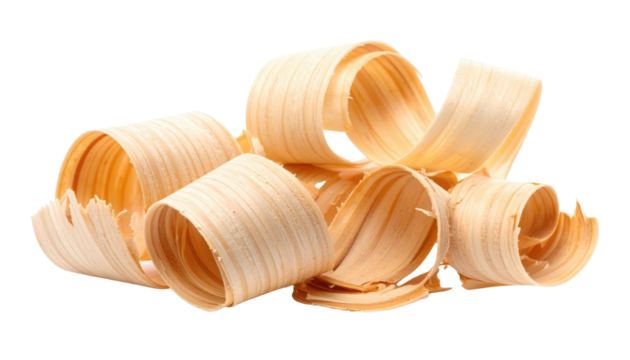 Curled light wood shavings forming delicate spirals and ribbon-like curls from planed timber.