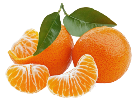 Fresh Tangerines with Green Leaves