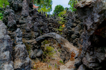Buddhist temple complex.

Tu Van Pagoda Buddhist Temple Complex in Cam Ranh, Vietnam. A local landmark.