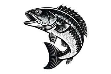 Fototapeta premium Black and White Perch Fish Illustration with Detailed Fins
