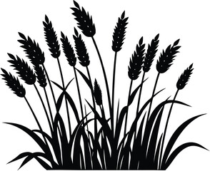 Fototapeta premium Tall Prairie Grass Silhouette, Prairie Plant Vector