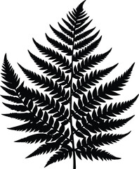 Tropical Fern Silhouette, Exotic Fern Vector