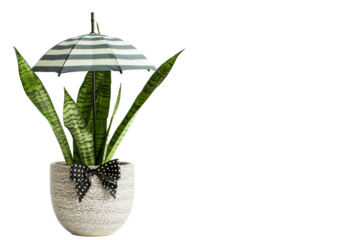 Snake Plant with Bow Tie and Umbrella cutout png