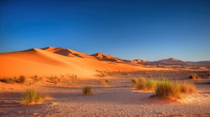 Fototapeta premium A vast desert landscape with smooth golden sand dunes under a clear blue sky,