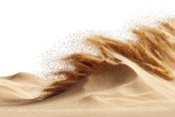 Sand dune wave (1)