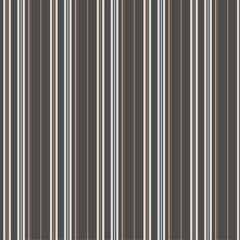 Obraz premium abstract metal background, abstract background with stripes, abstract striped background, 