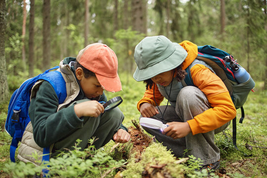 Two Black children crouching in forest examining moss and insects on fallen log using magnifying glasses, wearing backpacks and hats, exploring nature during outdoor adventure