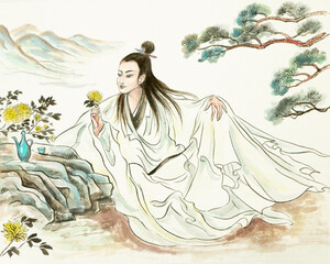 admiring chrysanthemum flowers