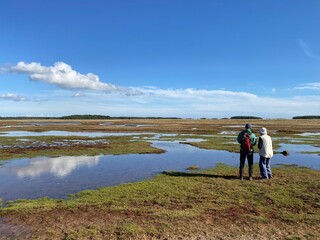Fototapeta premium couple in Samsø, Denmark