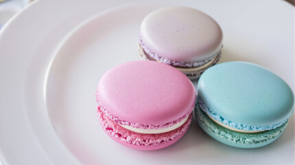 "A plate of assorted pastel-colored macarons arranged elegantly on a white porcelain plate." 